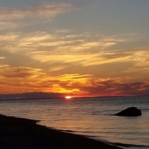 Meet your Posher, Trish